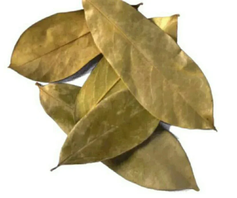 euphoricherbals1769629
