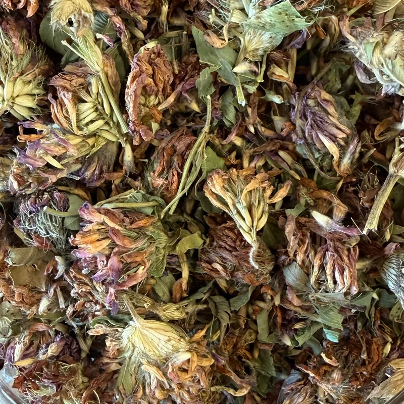 rosemarysgarden1753915