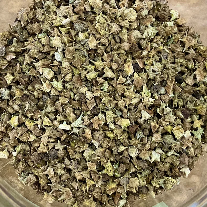rosemarysgarden1757833