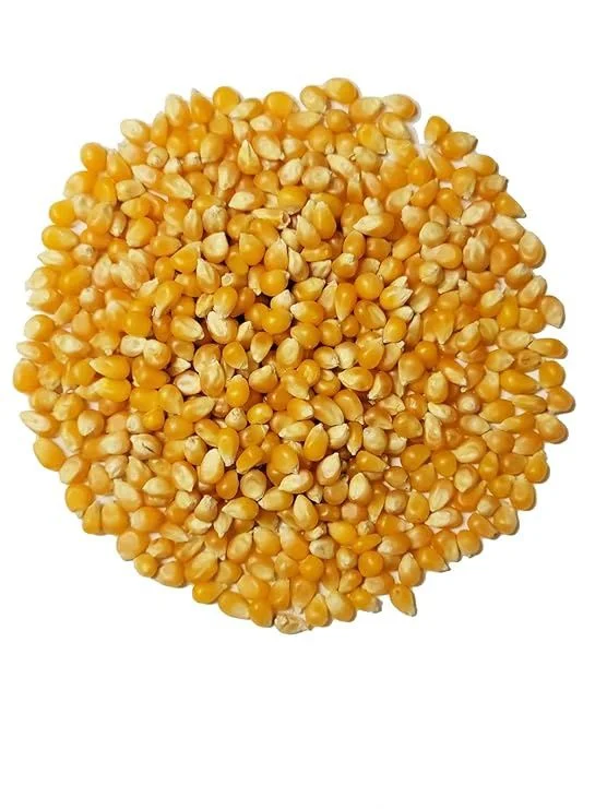 thefoodmill1796512