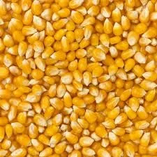 thefoodmill1802446