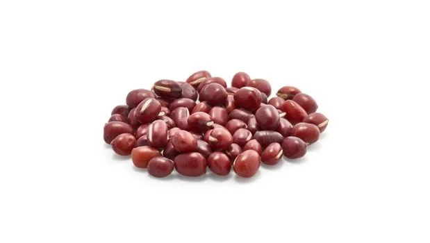 thefoodmill1803838