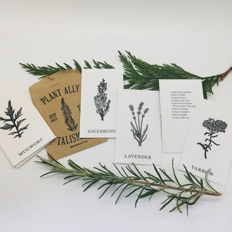 thepeoplesapothecary1781521